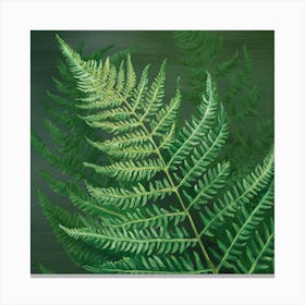 Fern Leaf Canvas Print