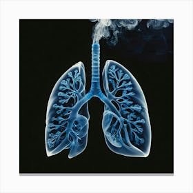 Lungs Stock Videos & Royalty-Free Footage 6 Canvas Print