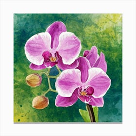 Orchids 10 Canvas Print