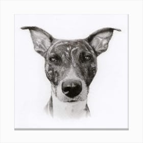 Dog Portrait 2 Canvas Print