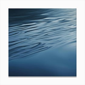 Water Ripples 2 Canvas Print