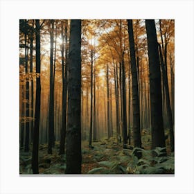 Autumn Forest 1 Canvas Print