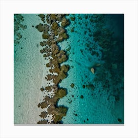 Great Barrier Reef 2 Canvas Print