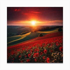 Sunset Over A Field Of Flowers Canvas Print