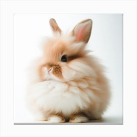 Cute Fluffy Bunny Canvas Print