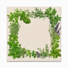 Frame Of Herbs 45 Canvas Print