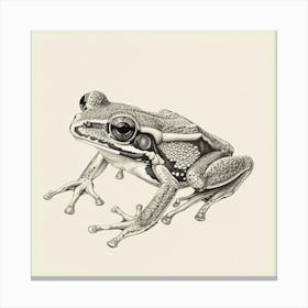 Tree Frog Canvas Print