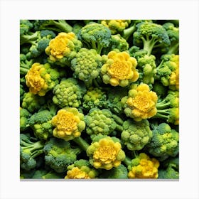 Florets Of Broccoli 5 Canvas Print