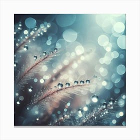 Water Droplets On Feathers Canvas Print