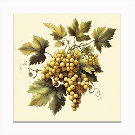 Golden Grapes Canvas Print
