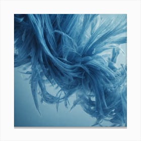 Blue Feathers 1 Canvas Print