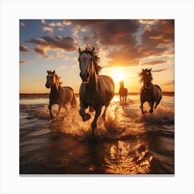 Horses Running At Sunset Canvas Print