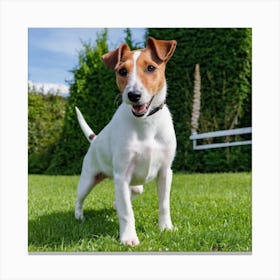 Super Cute Pedigree Smooth Fox Terrier Dog Reste Au Courant Sur La Pelouse Canvas Print