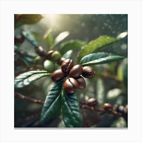 Coffee Beans On A Branch 2 Canvas Print