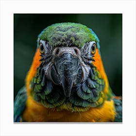 Portrait Of A Parrot Canvas Print