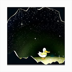 Duck under twinkling stars Canvas Print