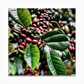 Coffee Beans On A Tree 58 Canvas Print