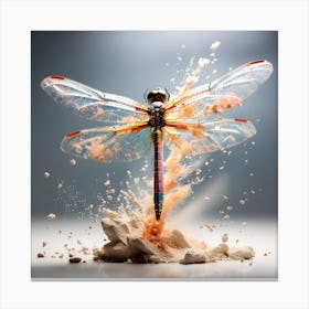 Dragonfly of marble Canvas Print