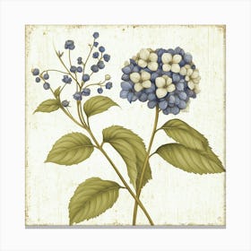 Hydrangea Art 2 Canvas Print