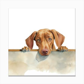 Vizsla Dog 1 Canvas Print