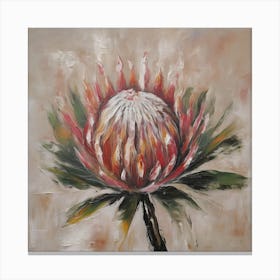 Flower of Protea Canvas Print