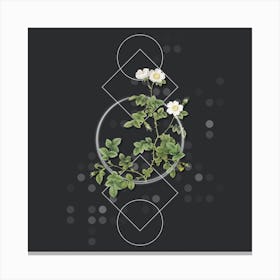 Vintage White Sweetbriar Rose Botanical with Geometric Line Motif and Dot Pattern n.0114 Canvas Print