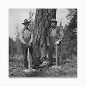 Grant County, Oregon, Malheur National Forest, Lumberjack Starting The Undercut By Russell Lee 2 Canvas Print