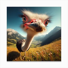 Ostrich 6 Canvas Print