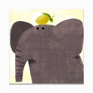 Elephant With Pesky Lemon Square Canvas Print