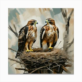 Hawks In Nest Canvas Print