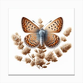 Butterfly of Thymelicus sylvestris 4 Canvas Print