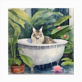 Maine Coon Cat Nestled Canvas Print