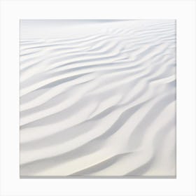 White Sand Dunes 1 Canvas Print