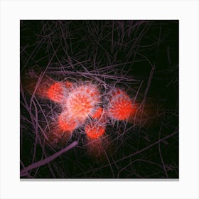 Glowing cactus Canvas Print