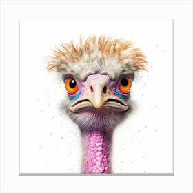 Ostrich Canvas Print