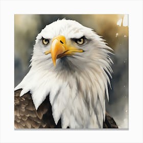 Watercolour Bald Eagle 4 Canvas Print
