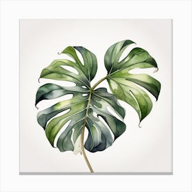 Large Monstera leaf 9 Canvas Print