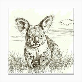 Koala Canvas Print