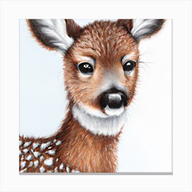 Deer Portrait Canvas Print