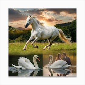 Swans And Horses 1 Canvas Print