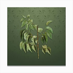 Vintage Common Hackberry Botanical on Lunar Green Pattern n.2012 Canvas Print