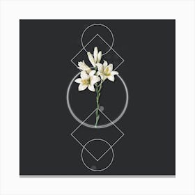 Vintage Madonna Lily Botanical with Geometric Line Motif and Dot Pattern n.0092 Canvas Print