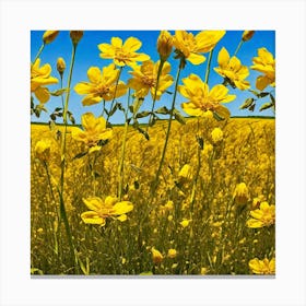 Field Of Yellow Flowers 17 Canvas Print