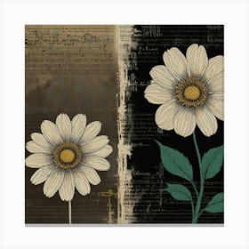 Daisy 11 Canvas Print