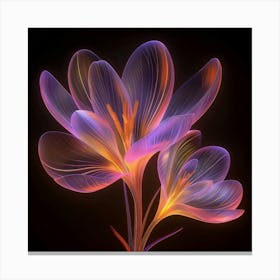 Glowing Crocus Flower Canvas Print