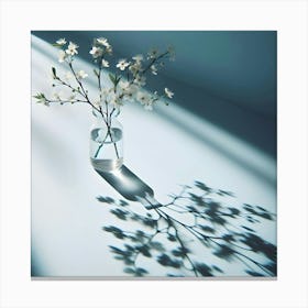 Shadow Of Flowers In A Vase Canvas Print