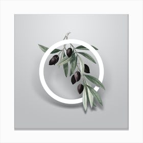 Vintage Olive Tree Branch Minimalist Floral Geometric Circle on Soft Gray n.0116 Canvas Print