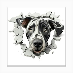 Dalmatian 3 Canvas Print