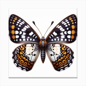 Butterfly of Bhutanitis lidderdalii 1 Canvas Print