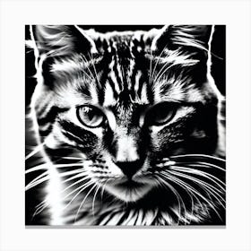 Black And White Cat 4 Canvas Print